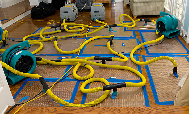 Professional Crawl Space Water Removal technician working in Polk, OH